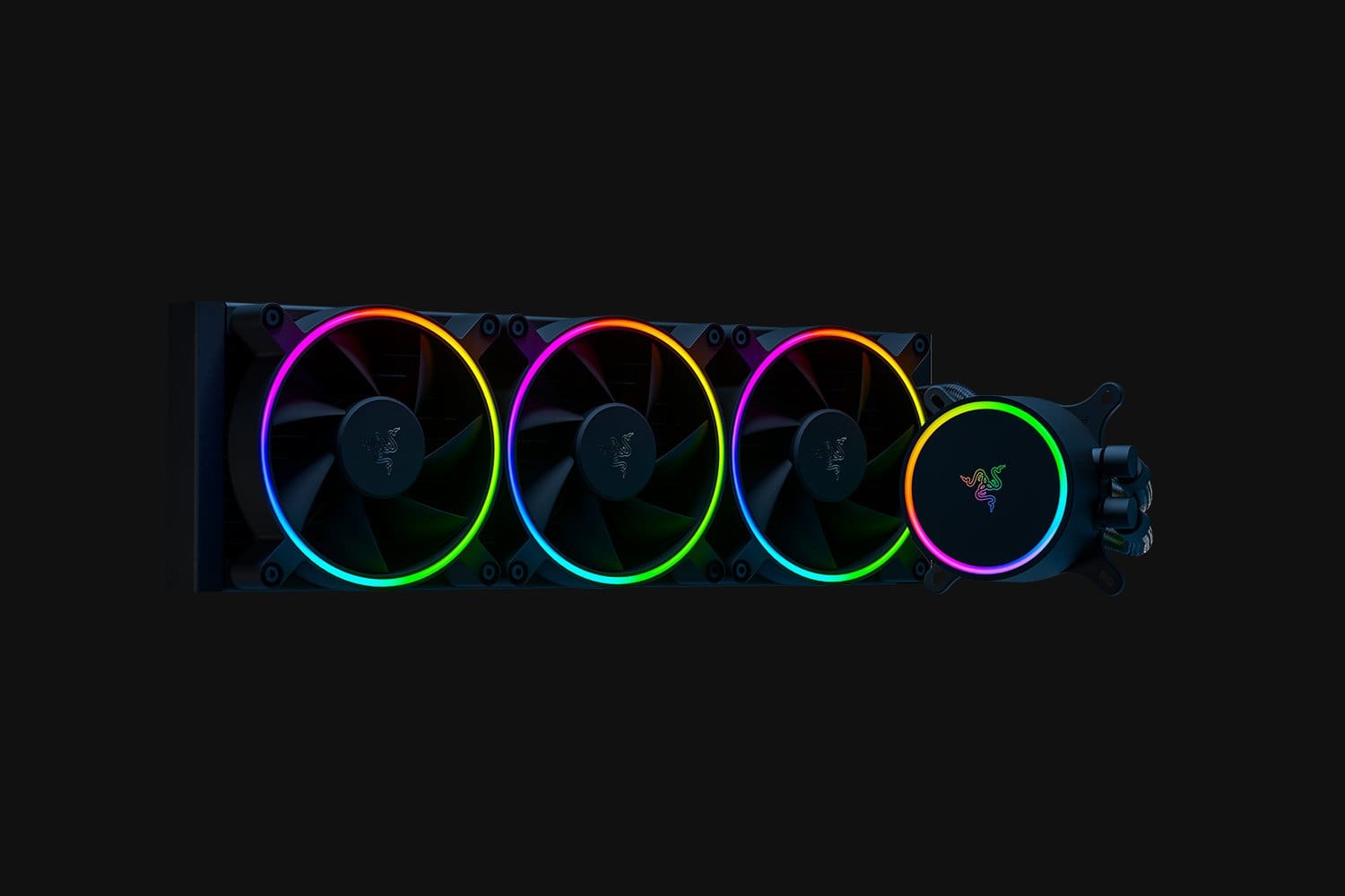 96512969_3736591772 96512969_3736591772